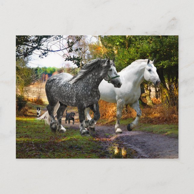 "In from Meadow" vykort (Framsida)