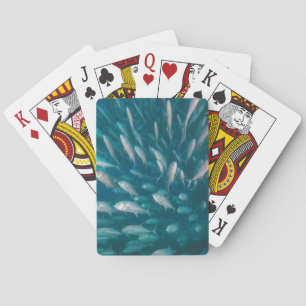 In i jackarna casinokort