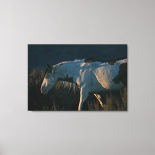 "In i ljus" Shaman Medicine Hat Stallion Canvastryck