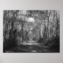 "In i Skogen" Poster