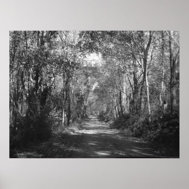 "In i Skogen" Poster (Framsidan)