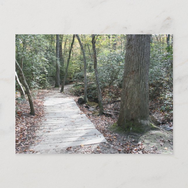 In i skogen vykort (Framsida)