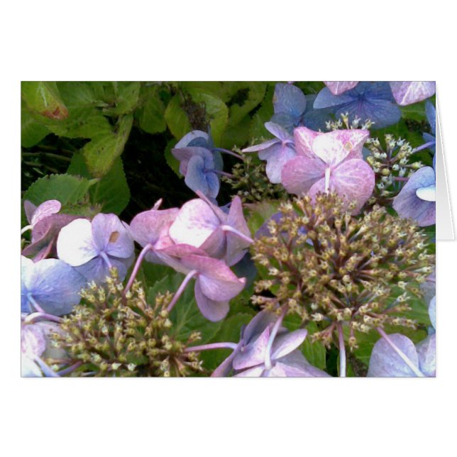 In i trädgården hälsningskort (Framsidan Horizontal)