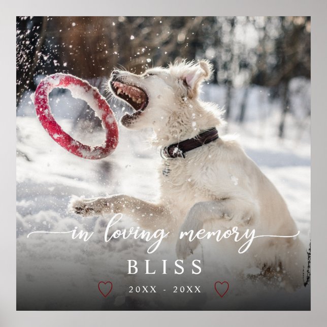 In Loving Memory Calligraphy Pet Photo Monogram Poster (Framsidan)