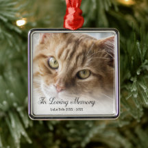 In Loving Memory Cat Photo