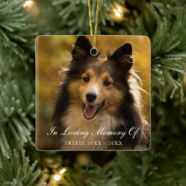 In Loving Memory Elegant Photo Pet Memorial Julgransprydnad Keramik