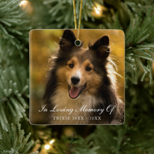 In Loving Memory Elegant Photo Pet Memorial Julgransprydnad Keramik