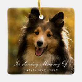 In Loving Memory Elegant Photo Pet Memorial Julgransprydnad Keramik