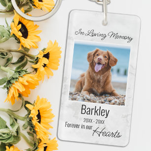 In Loving Memory Pet Loss Loss Pet Memorial