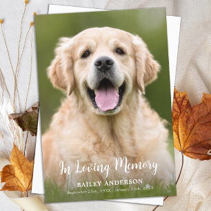 In Loving Memory Pet Modern Photo Tack Kort