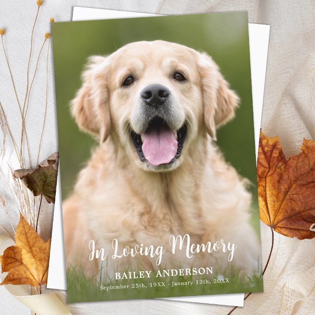 In Loving Memory Pet Modern Photo Tack Kort (Skapare uppladdad)