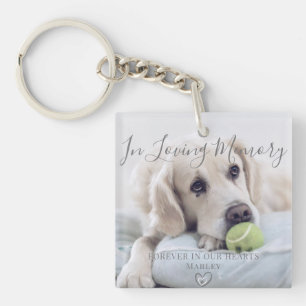 In Loving Memory Pet Photo