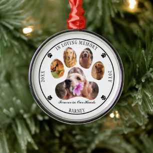 In Loving Memory Photo Pet Memorial - White Julgransprydnad Metall