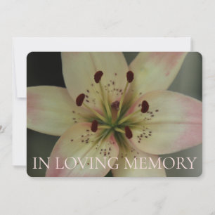 In Loving Memory Rosa Lily-inbjudan Inbjudningar