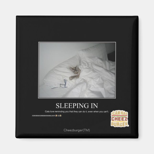 In Magnet (Framsidan)