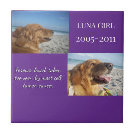 In Memory, Love Remains Kakelplatta