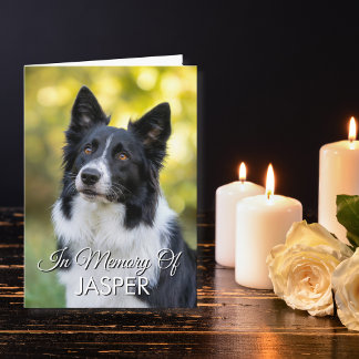 In Memory Of Pet Memorial Sympathy Custom Photo Kort