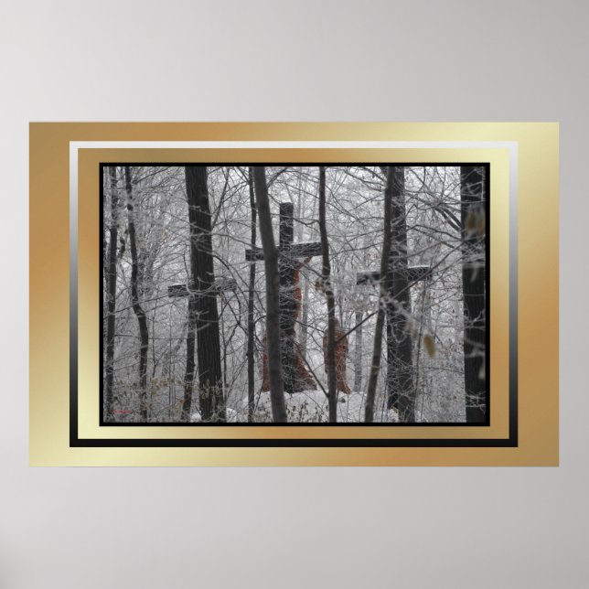 In Spite of Ice and Fog Poster (Framsidan)