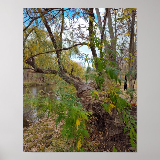 In the Absence of Music Poster (Framsidan)