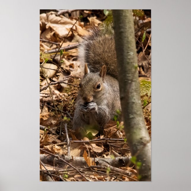 In the Brush Poster (Framsidan)