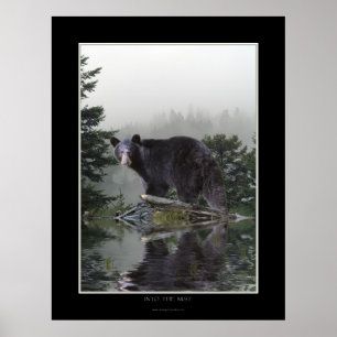 "IN THE MIST" Black Bear Poster