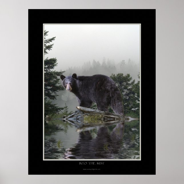 "IN THE MIST" Black Bear Poster (Framsidan)