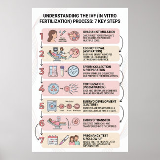 In vitro-fertilisering (IVF) Process förklarad: 7 Poster