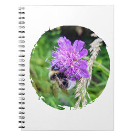 In voller Blüte – Notizbuch mit Hummelmotiv Anteckningsbok