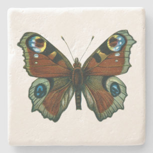Inachis io - European Peacock Butterfly Stenunderlägg