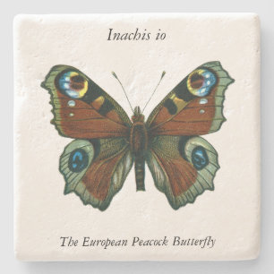 Inachis io - European Peacock Butterfly Stenunderlägg