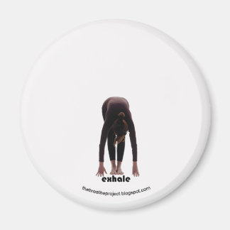 Inandningsprojektet 10 av 12 magnet