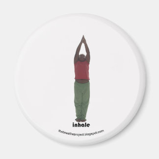 Inandningsprojektet 11 av 12 magnet