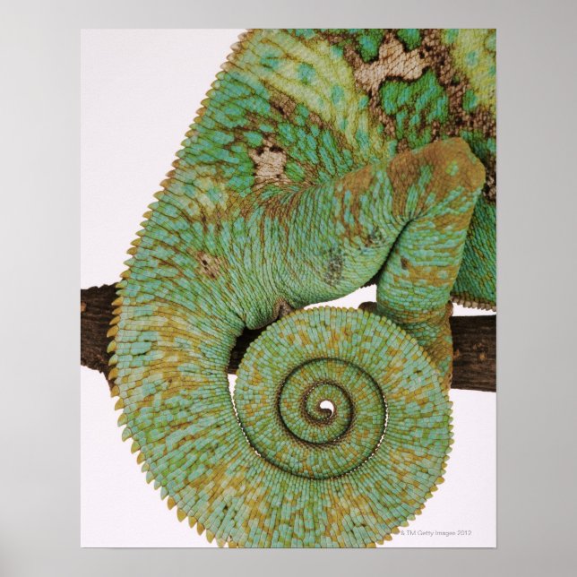 Inbebor torra bergsområden. Urbefolkad Poster (Framsidan)