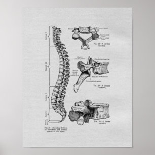 Inbindnings- och kotavintagetryck poster