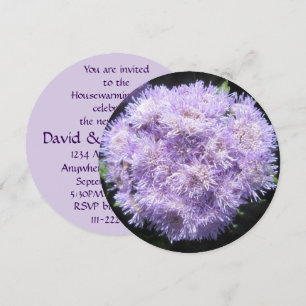 Inbjudan - Ageratum