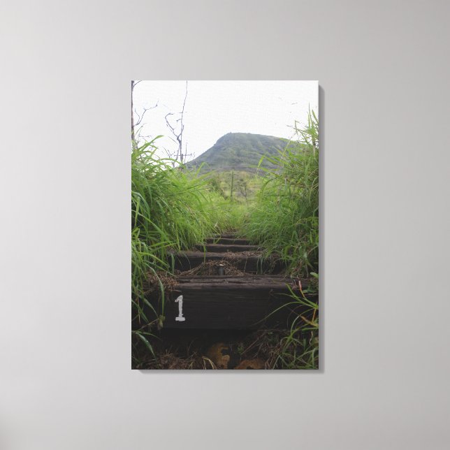 Inbjudan anställer i första steget Koko Crater Canvastryck (Framsida)