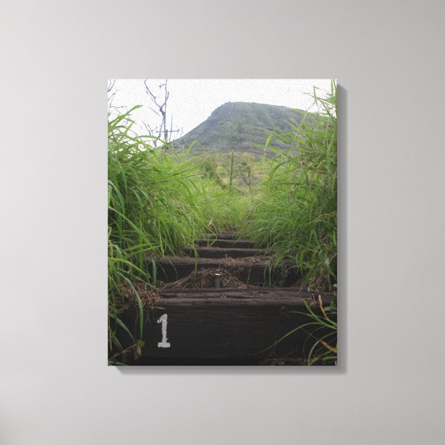 Inbjudan anställer i första steget Koko Crater Canvastryck (Framsida)