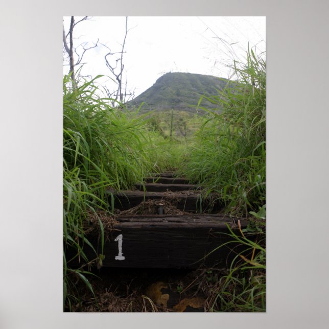 Inbjudan anställer i första steget Koko Crater Poster (Framsidan)