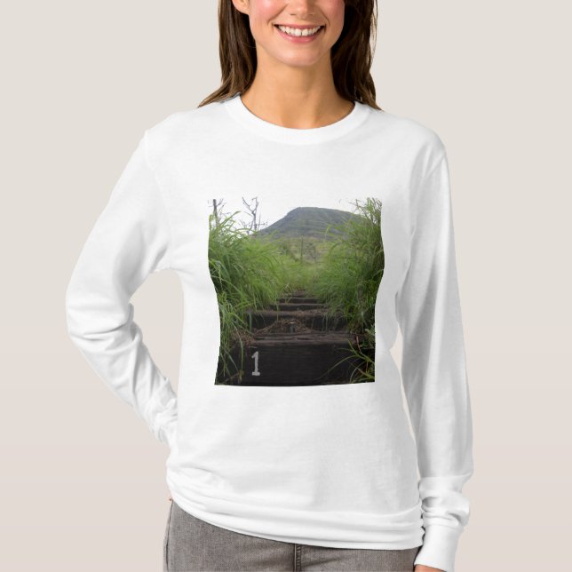 Inbjudan anställer i första steget Koko Crater T-shirt (Framsida)