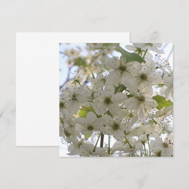 Inbjudan - Blooming Bradford Pear (Fram/baksida)