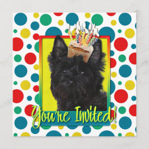 Inbjudan Cupaka - Cairn Terrier - Rosco