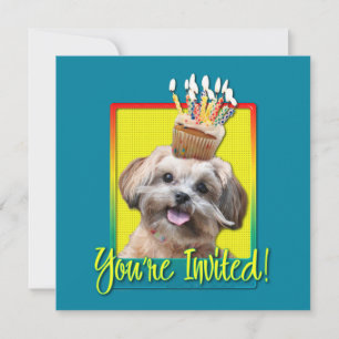Inbjudan Cupcake - ShihPoo - Maggie