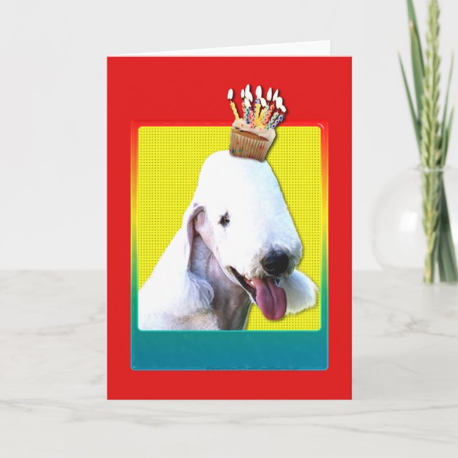 Inbjudan Cupkaka - Bedlington Terrier (Framsida)