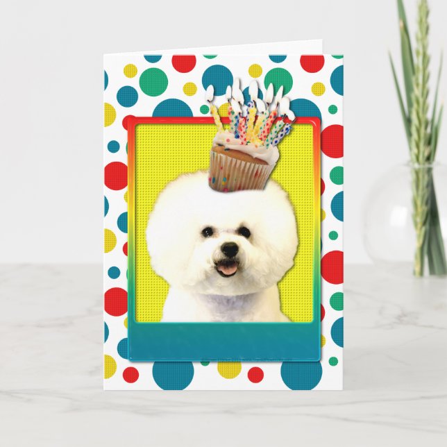 Inbjudan Cupkaka - Bichon Frise (Framsida)