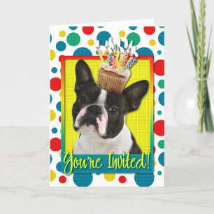 Inbjudan Cupkaka - Boston Terrier