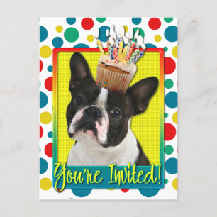Inbjudan Cupkaka - Boston Terrier Vykort