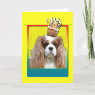 Inbjudan Cupkaka - Cavalier - Blenheim