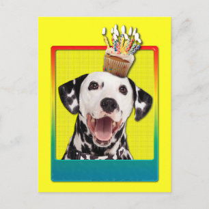Inbjudan Cupkaka - Dalmatien