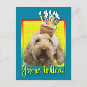 Inbjudan Cupkaka - GoldenDoodle Vykort