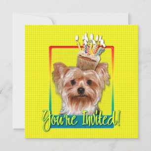 Inbjudan Cupkaka - Yorkshire Terrier
